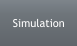 Simulation
