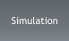 Simulation